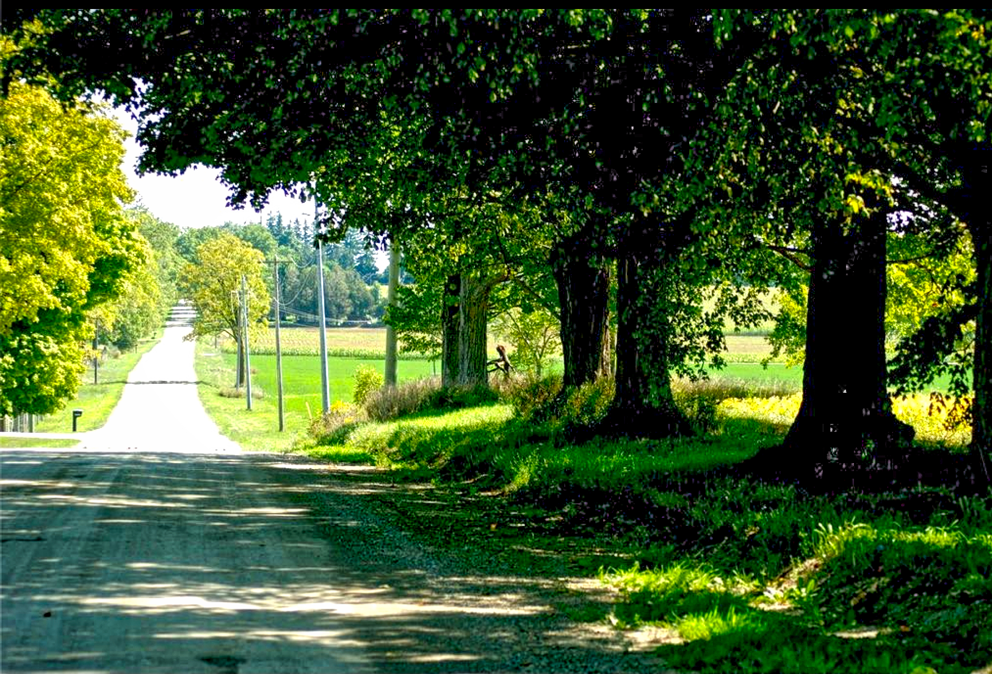 Rural Road, Norwich, Ontario, Canada