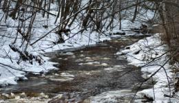 A Winter Stream in Burlington, Ontario