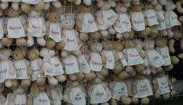 Teddy Bears with names on frocks