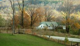 House in autum view