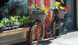 bike with flower against shop