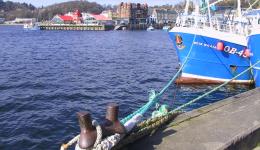 Boat moored in the harvour, Oban, Scotland