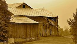 sepia: old barn