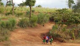 Road in rural Kenya