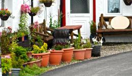 Beautiful doorway with plants, Isle of Mull, Scotland