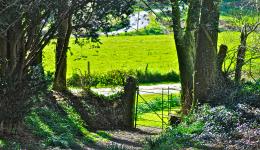 churchyard gate