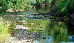 Stream in Aughrim, Co Wicklow