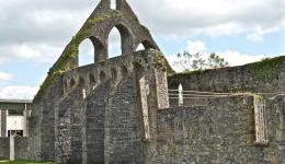 Church Ruin, Nenagh, Ireland