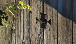 cross in barn