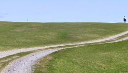 long winding path on isle of Iona.