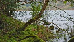 Lake at Gougane Barra, Co Cork, Irleland