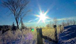 winter fence and white sun