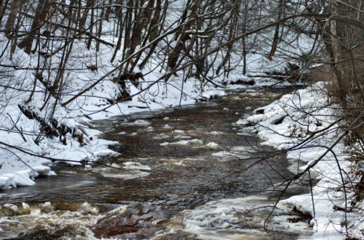 A Winter Stream in Burlington, Ontario A Winter Stream in Burlington, Ontario