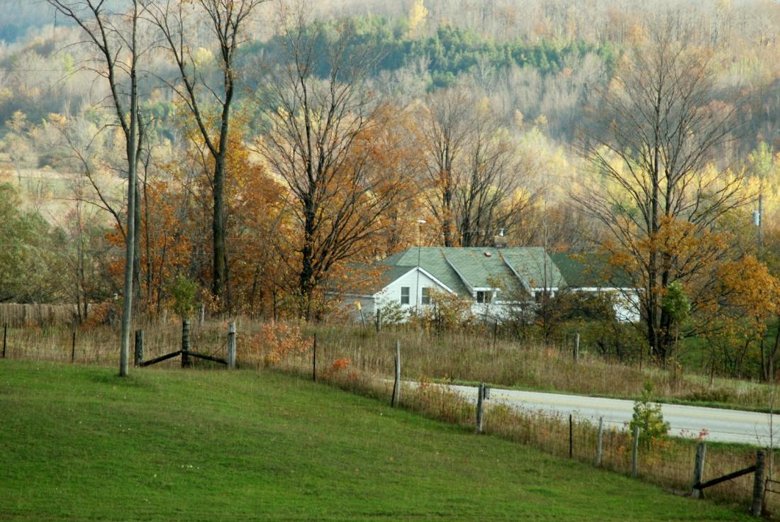 House in autum view