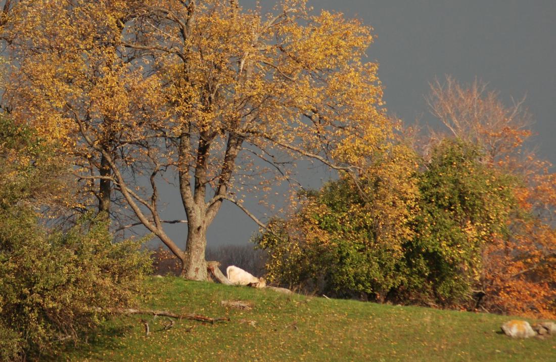 The colours of Autumn