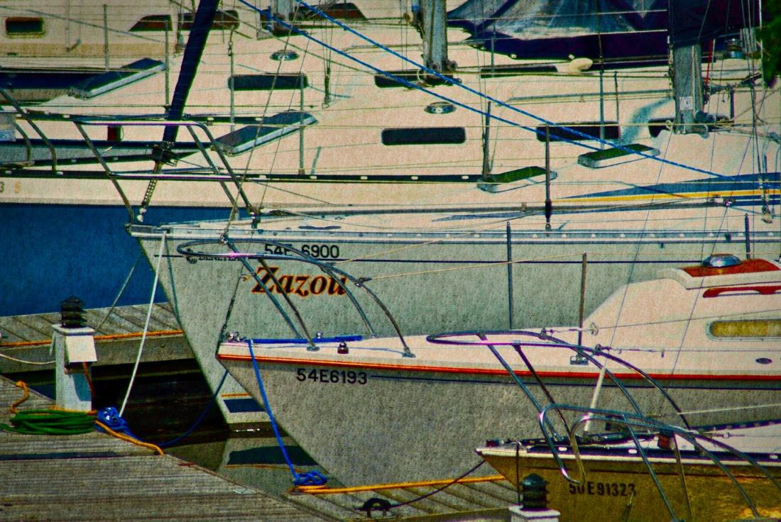 Boat prows in marina