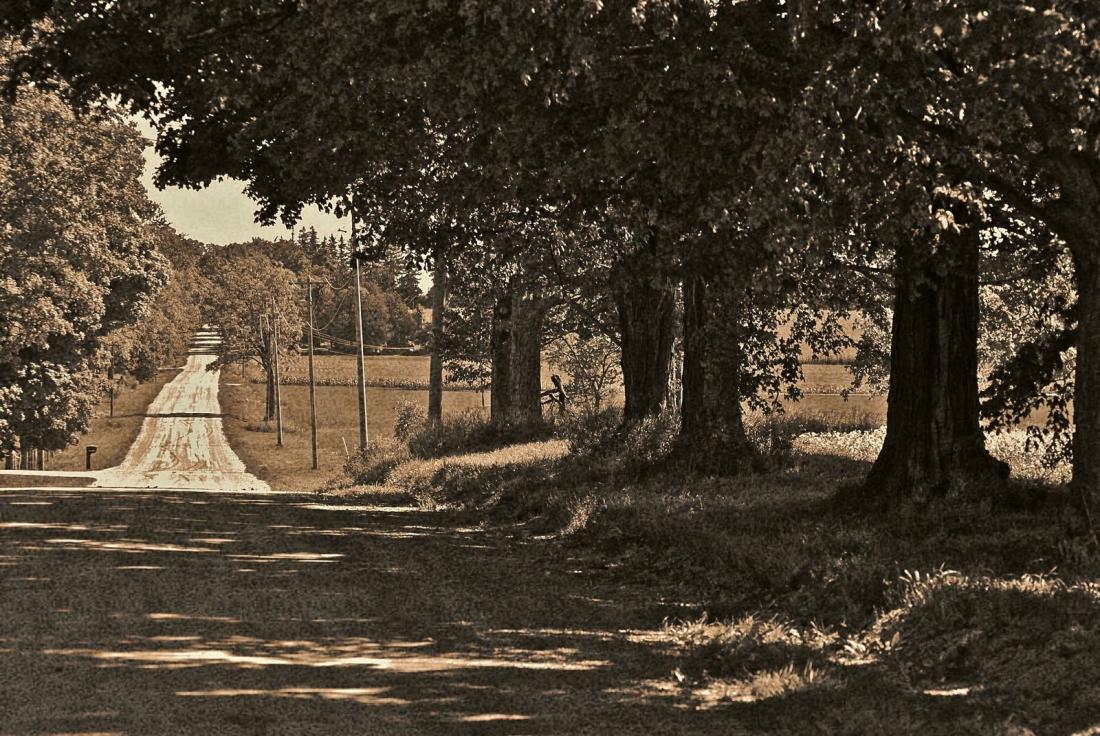 Sepia: Quaker Road, Norwich, Ontario