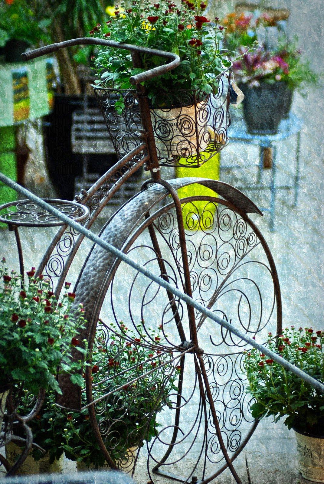 garden tricycle with flowers