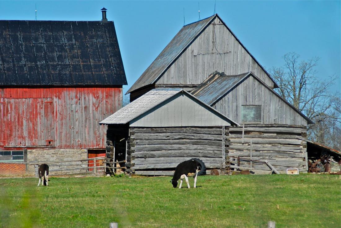 old barns